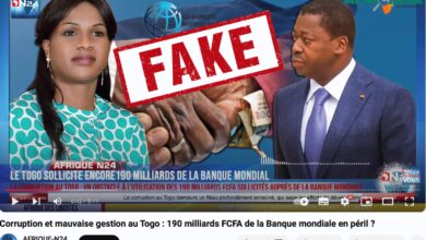 Projet imaginaire de 190 milliards FCFA : Analyse d'une campagne de désinformation contre le Togo