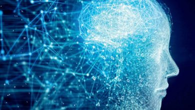Guerre informationnelle : Quand la manipulation cible les failles de notre cerveau